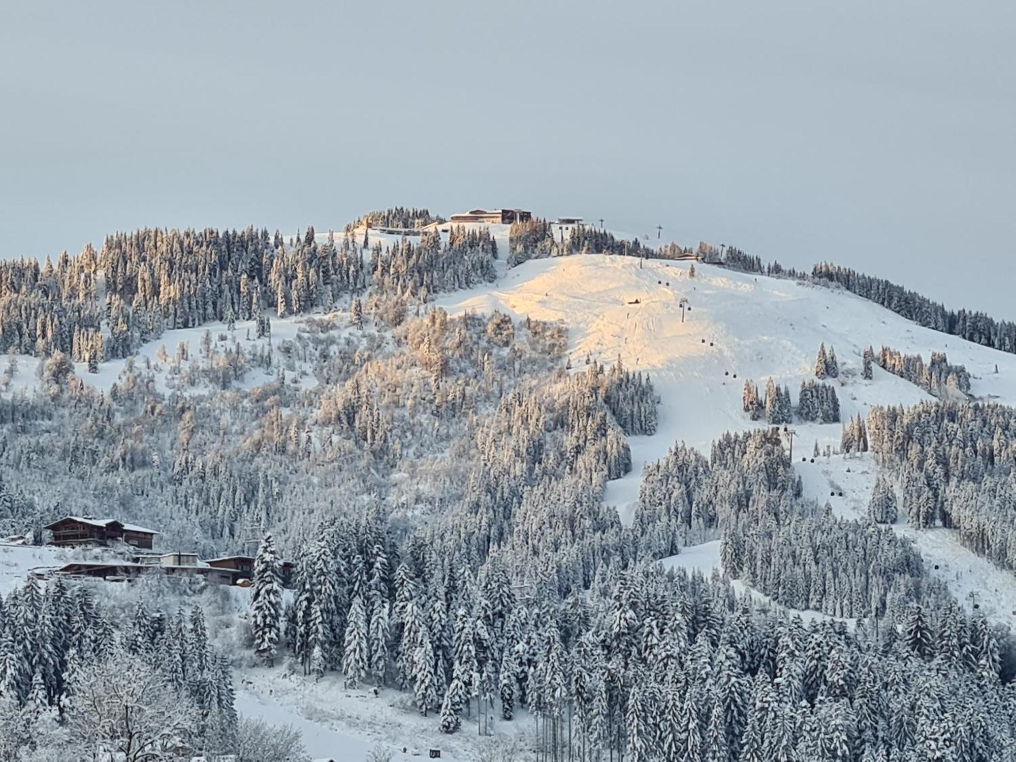 Going Easy Appartement Going am Wilden Kaiser Buitenkant foto